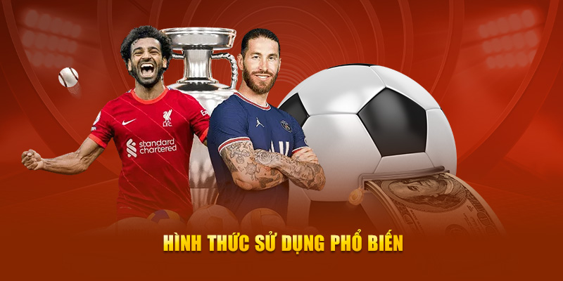 Hình thức sử dụng phổ biến